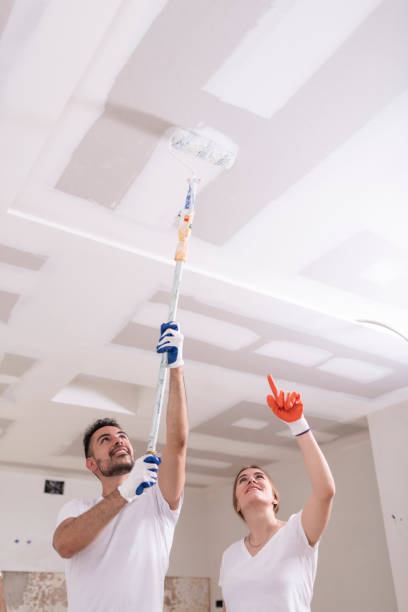  Junction, TX Mold Removal Pros