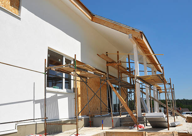 Best Environmental Consulting for Mold Prevention  in Junction, TX
