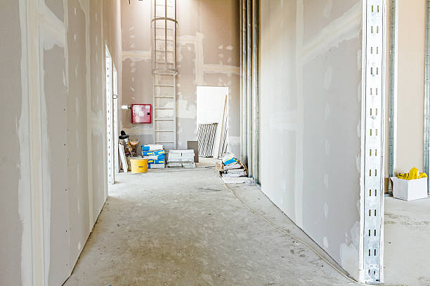 Trusted Junction, TX Mold Removal Experts